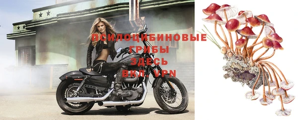 марки nbome Лиски